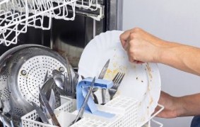 Ремонт Посудомоечных Машин